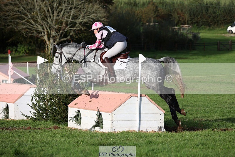 231021-160642-20539 - 553-HARLEQUIN.RABBIT-Althea.Bleekman-SC+XC