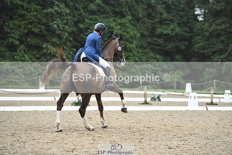 240720-143616-05713 - 142-Amberley_Pugsley-Hero_A