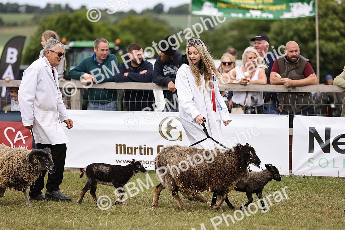 SBM_16868 - Grand Parade