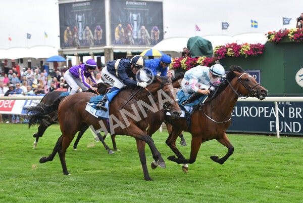 yr18082022r6-42 - Race 6 4.45 pm OR8wellness ebfstallions Nursery Handicap