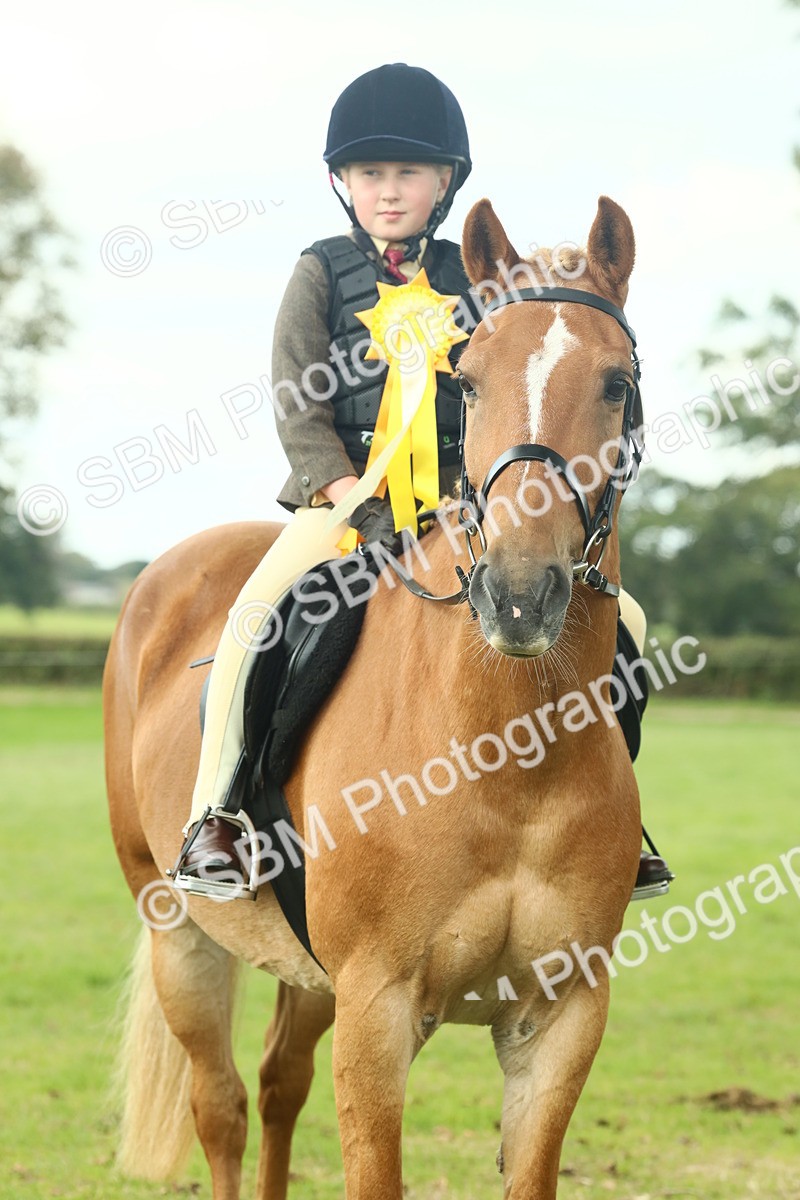 SBM_62549 - S62 - Foreign Breeds Ridden