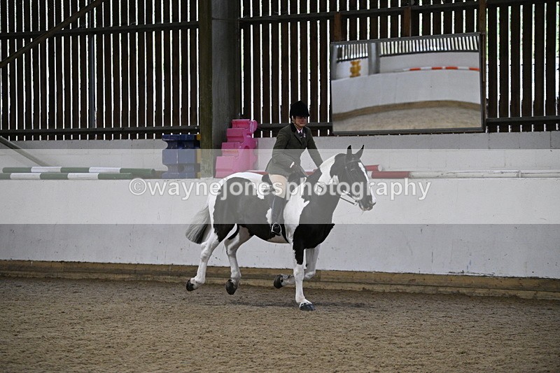 WJ7_4399 - Class 17 Ridden Cob