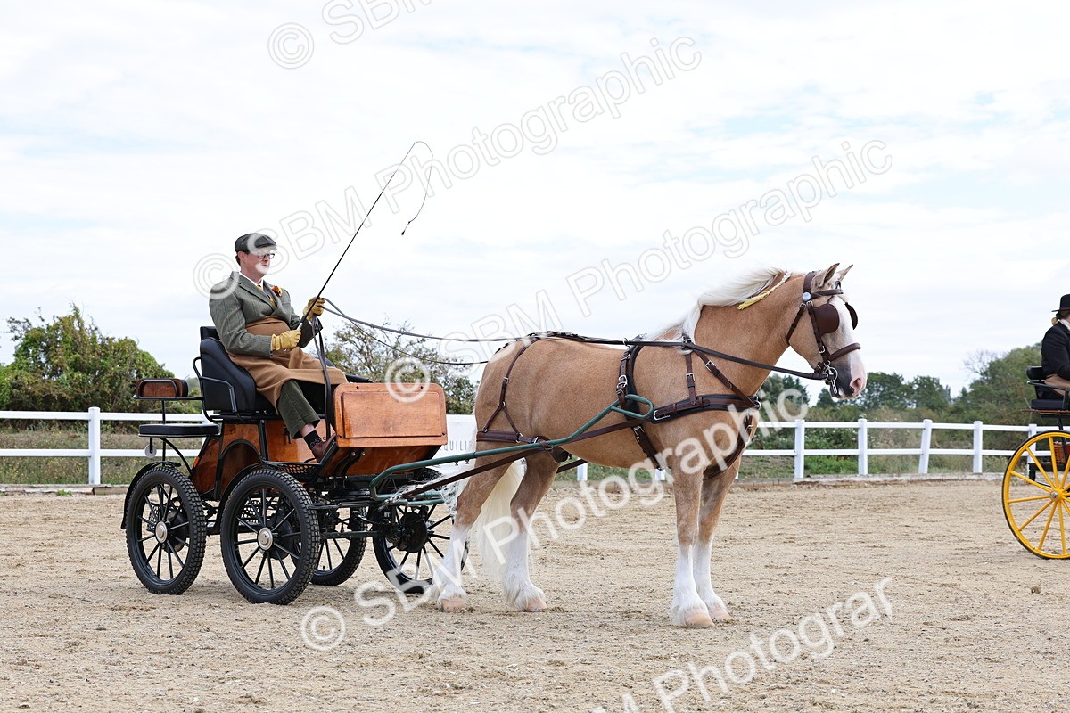 SBM_000785 - Class 6 - Exercise Vehicle 13.2 and over