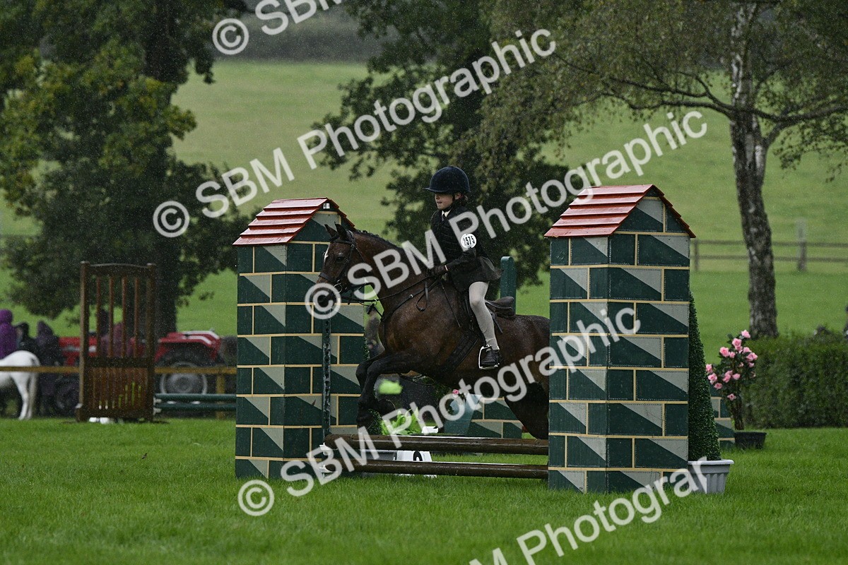 SBM_35501 - S30 - Nursery Stakes Working Hunter Pony