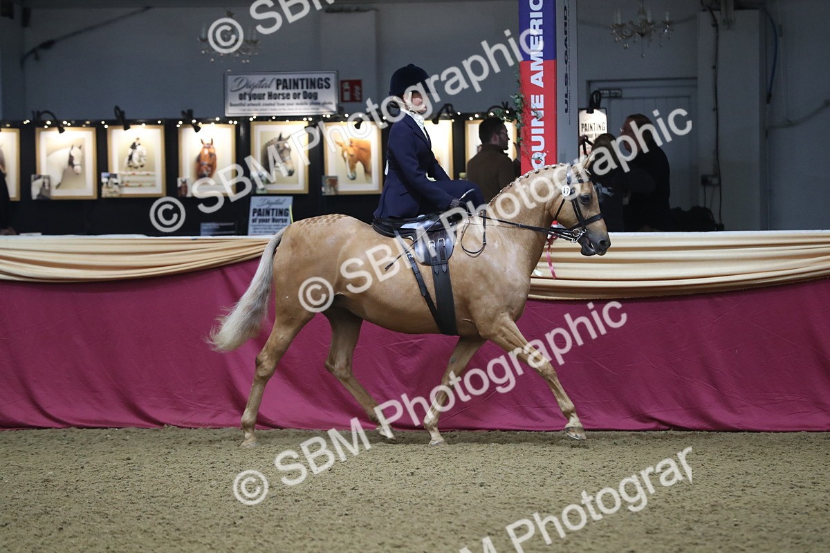 SBM_09341 - Class 101 Equitation (best rider), Junior