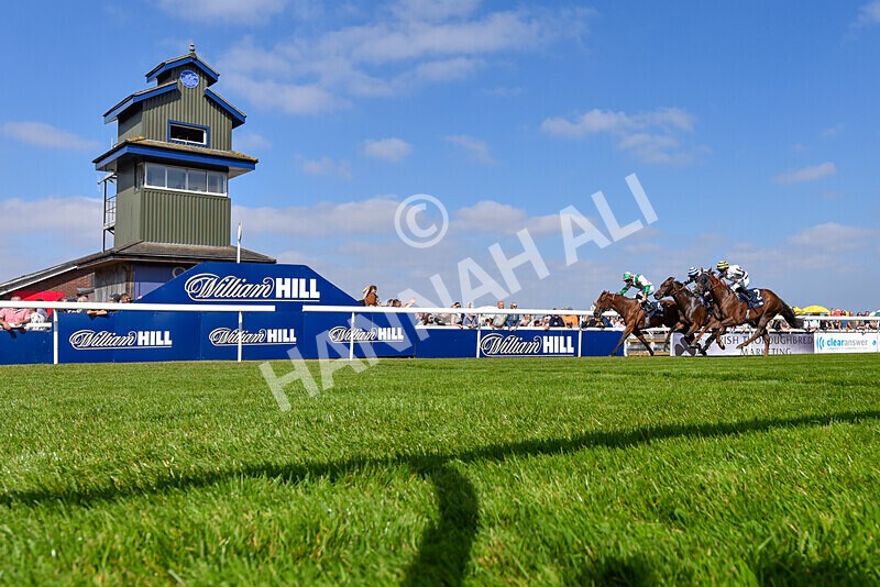 310824-Race 2-Democracy Dilemma-5880 - Race 2