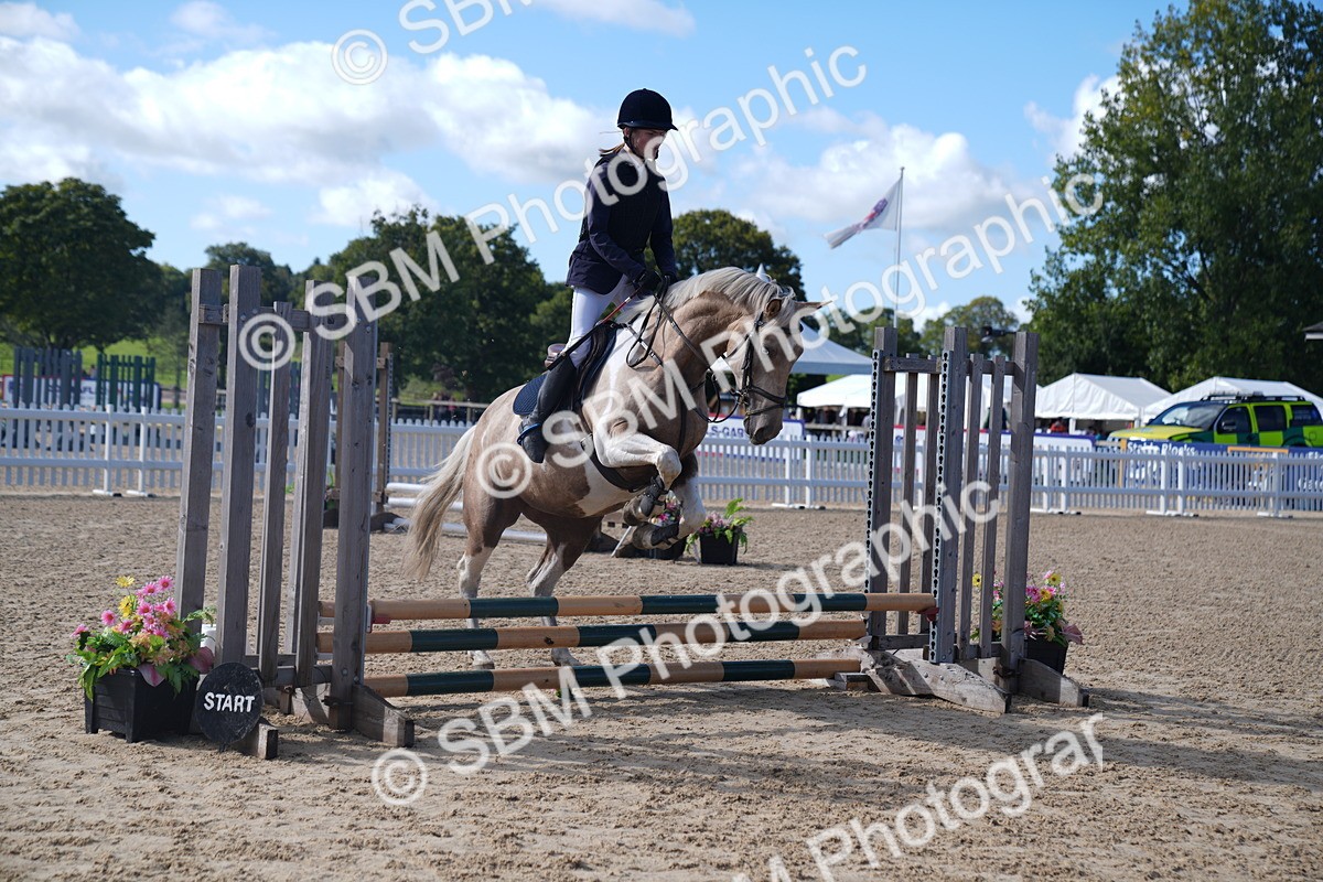 SBM_02381 - J54 Clear Round 45cm