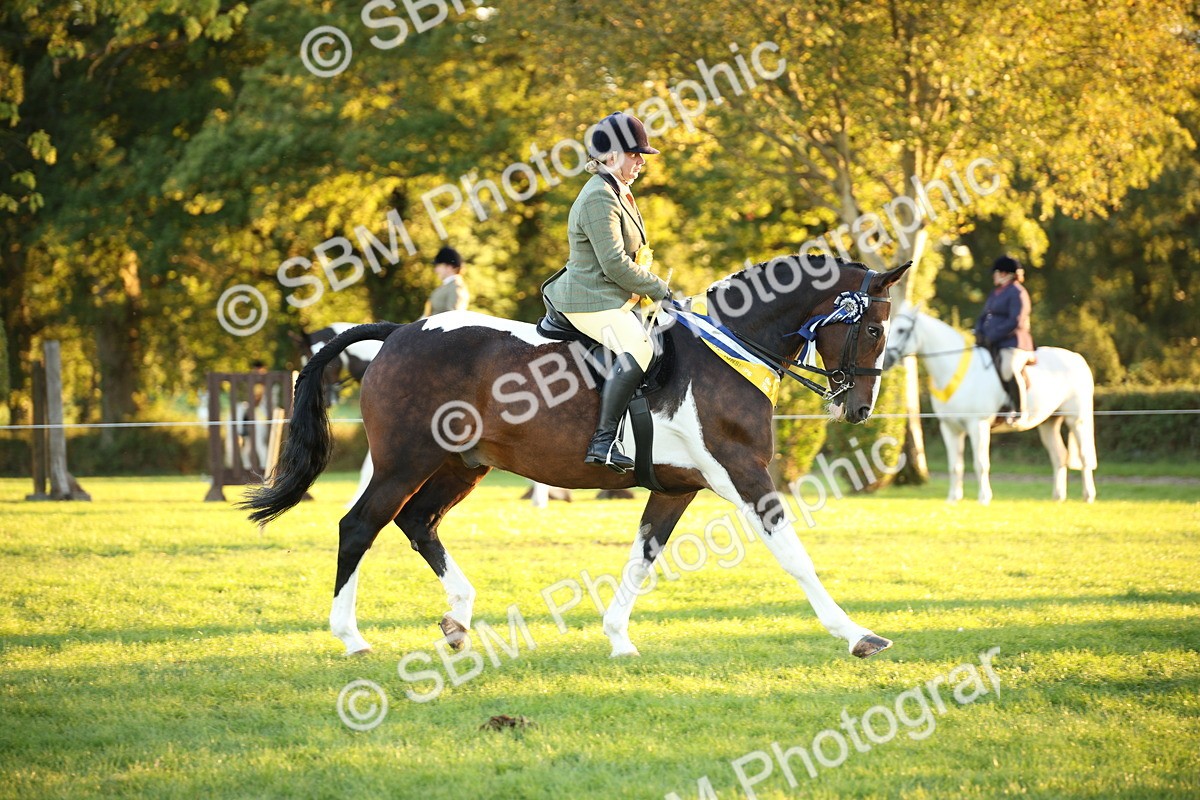 SBM_57081 - Veteran Supreme Championship