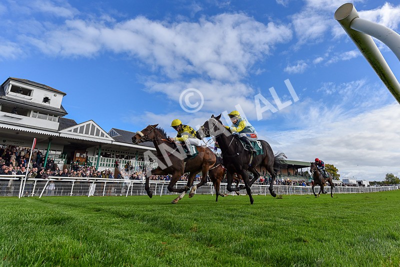 171026-Race 1-Lions Den-8494 - Race 1 1pm EBF 'Confined' Restricted Maiden Stakes
