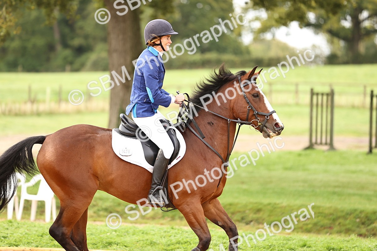 SBM_58229 - J41 - Grand Tour Horse & Pony 95cm