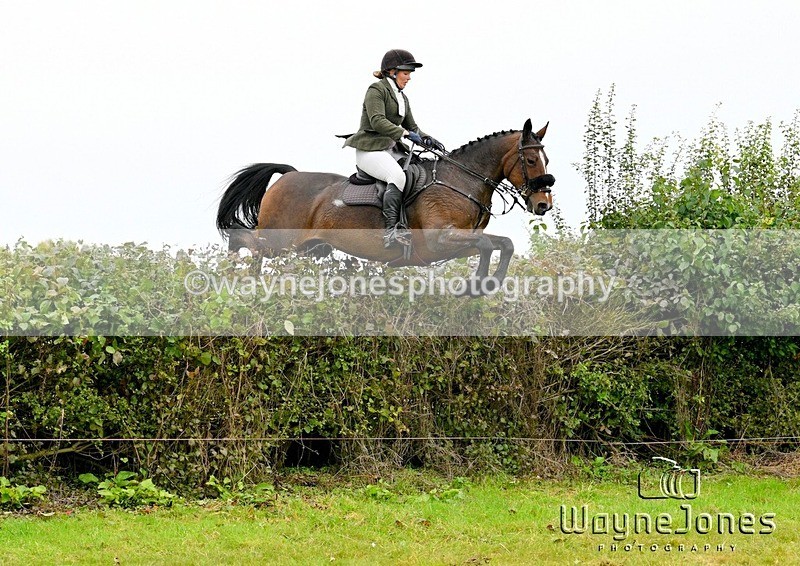 WJ7_4260 - Edited examples