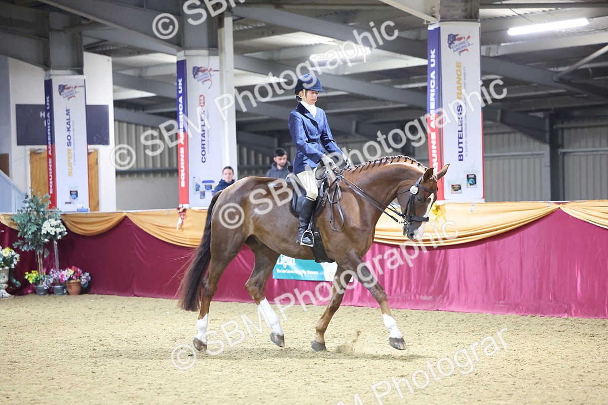 0B8A4471 - Class O Ridden Show Horse Champ