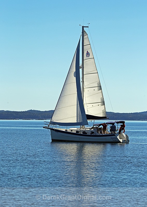 Saling on Passamaquoddy Bay - Fundy Postcards