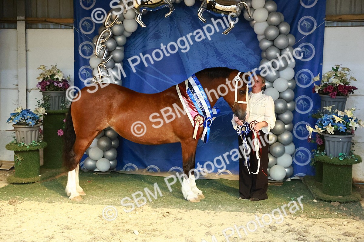 SBM_17980 - M&M Supreme Final Champ