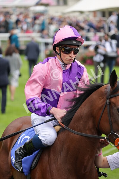 yr19082021r1-9 - Race 1 1.50pm Sky Bet Lowther Stakes