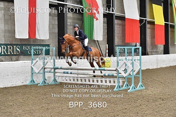 BPP_3680 - FRI CLASS 21 BR NOVICE/90CM