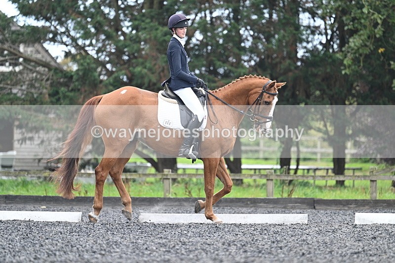 WJ7_6705 - Time 14:49 to 15:14