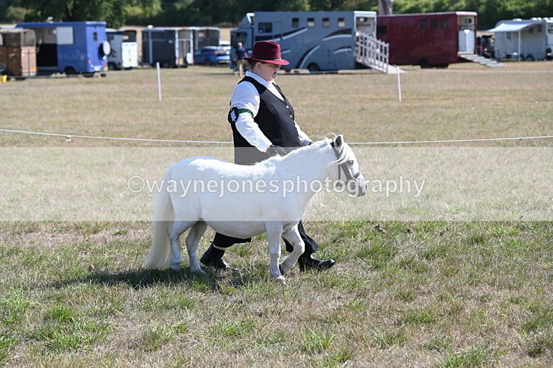 WJ6_4602 - Class 17 Mountain & Moorland