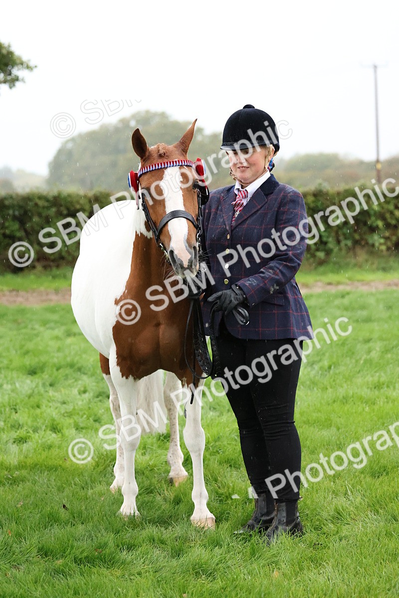 SBM_35304 - S10 - Best In Hand Horse & Pony