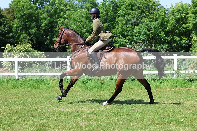 3E7A7299 - Class 30: Novice Working Hunter
