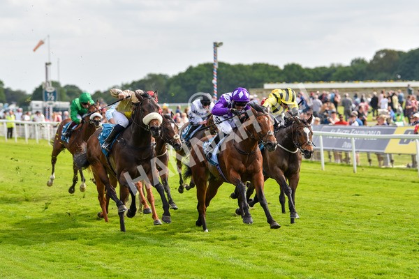 170523-Race 5-Dark Thirty-8879 - Race 5 4.10pm Conundrum HR Consulting Handicap