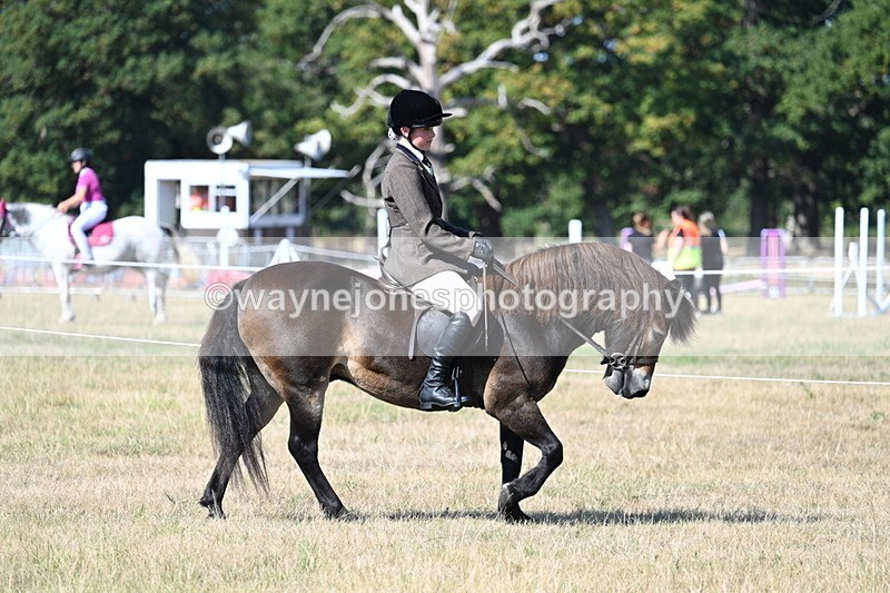 WJ7_3442 - Class 9 Mountain & Moorland Ridden