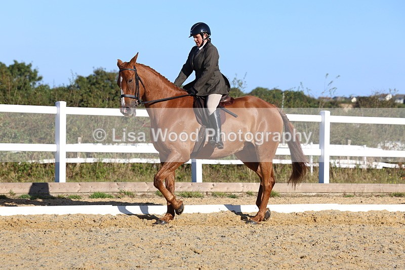 3E7A5194 - Class 7: Novice Ridden Hunter/Hack/RH/Cob