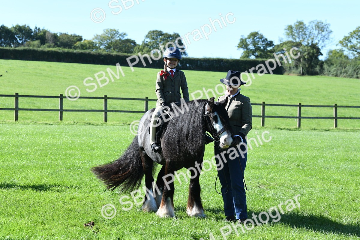 SBM_37008 - S18 - Novice & Newcomers Lead Rein Pony