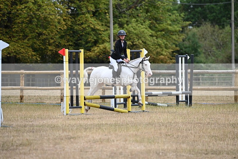WJ6_0274 - Class 13 Novice Jumping 60cm