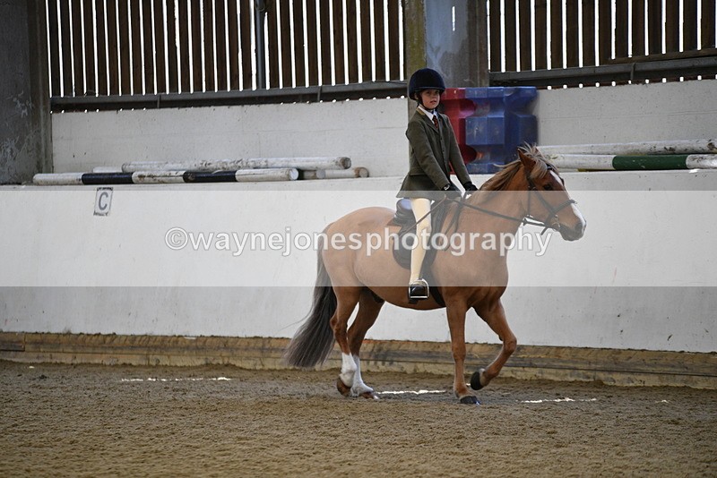 WJ5_5927 - Class 9 Ridden Veteran