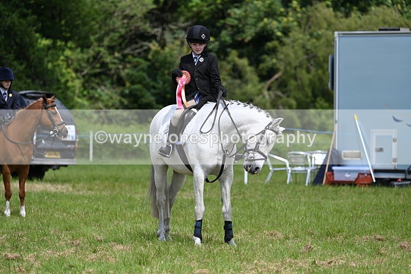 WJ7_1844 - Class 9 Pony Club Pony