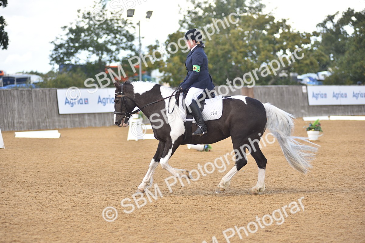 SBM_22402 - D13 - Grand Tour Championship Prelim 3