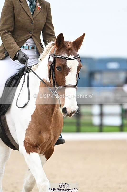 241103-095531-00235 - Intro 3 - 9.40 to 10.40