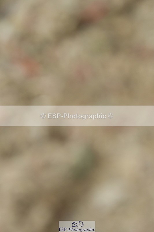 230701A-124321-05810 - Cls 7 Elementary 45