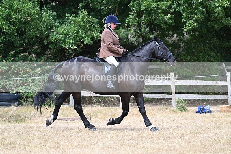 WJ7_1313 - Class 8 Ridden Veterans