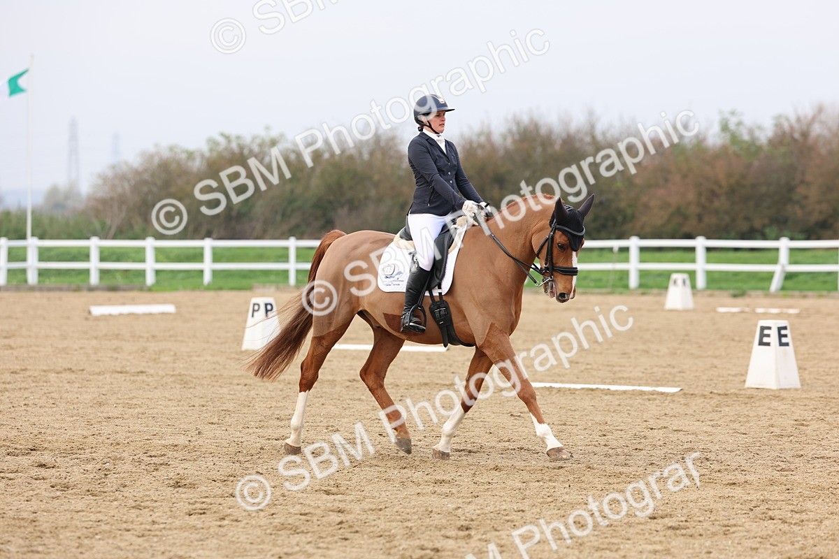 SBM_008447 - Class 11 - Medium 5