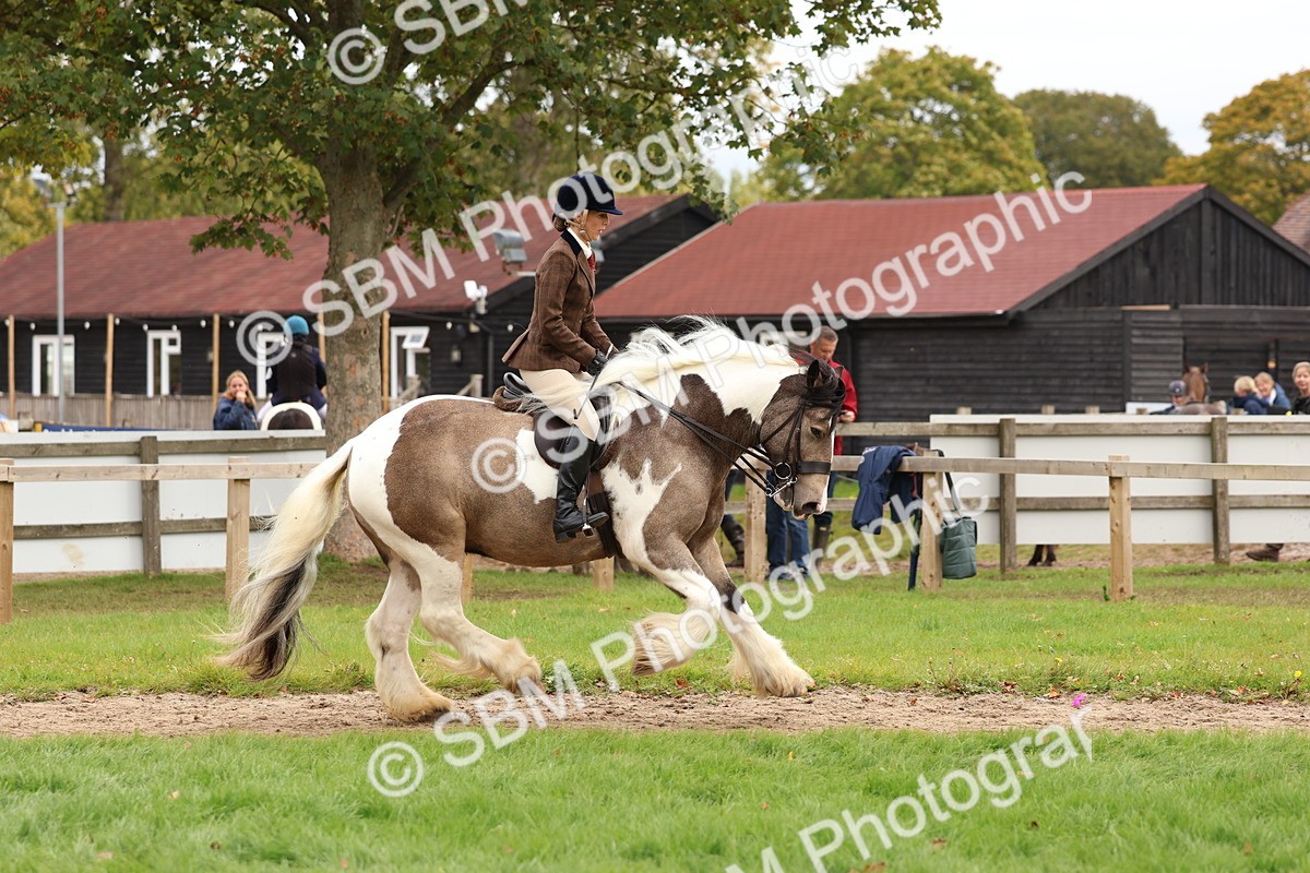SBM_64442 - S58 - Coloured Pony Ridden