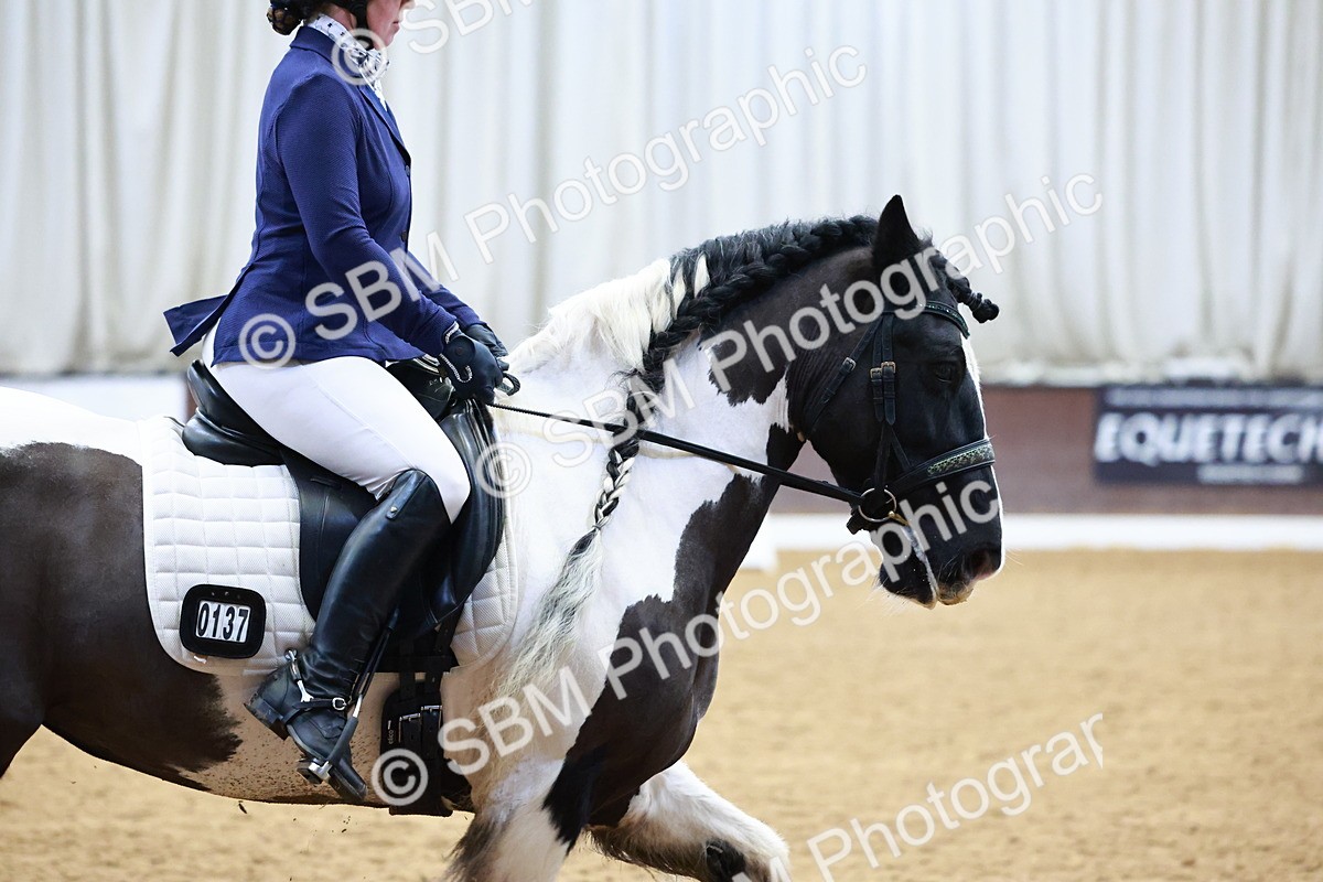 SBM_002737 - Novice Music