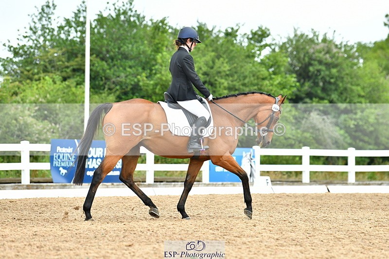 230708A-095956-02294 - Prelim 13