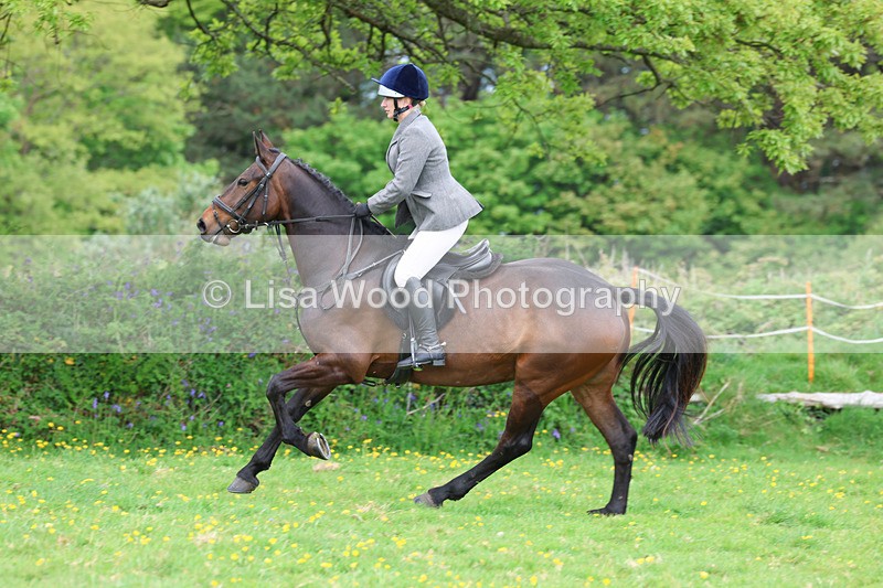 3E7A1235 - Class 7: Ridden Hunter Type