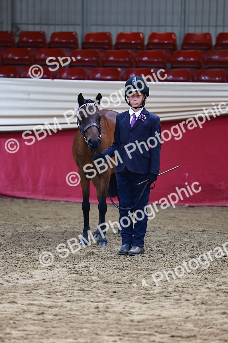 SBM_22210 - Class 902 - Supreme Final - IH Diamond