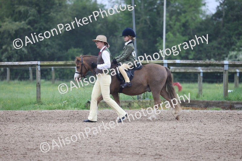 20260504-0085 - Class 9 - Lead Rein Pony