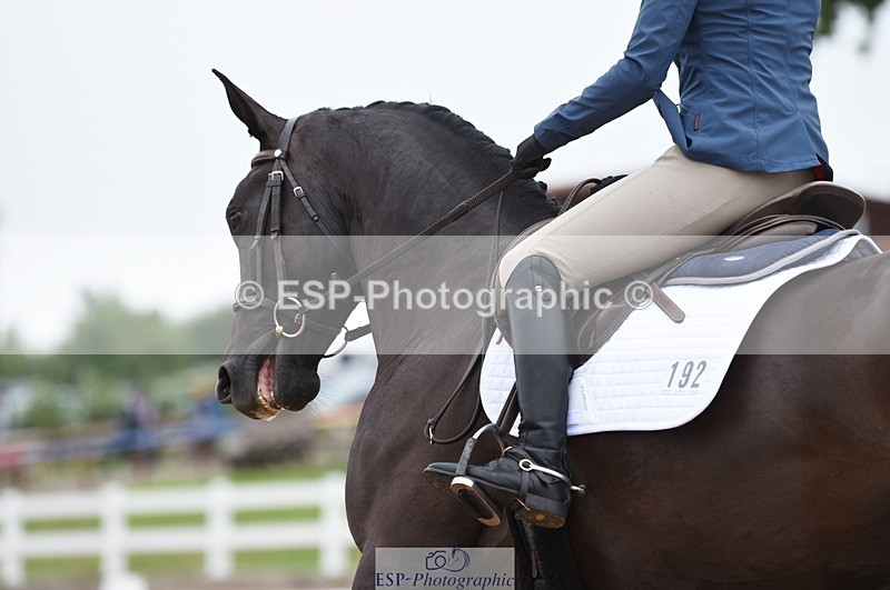 230708A-110156-01496 - Prelim 7