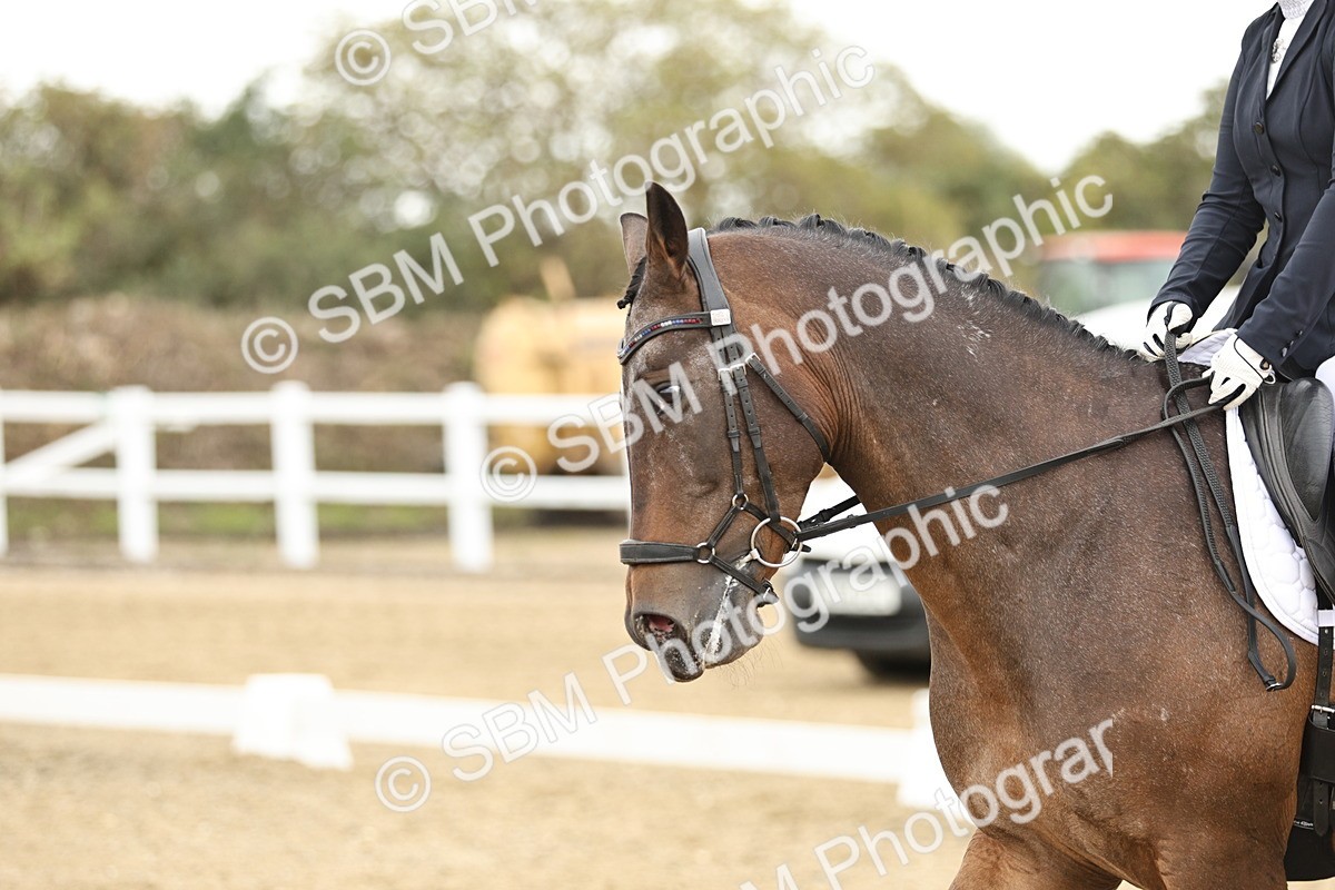 SBM_007001 - Class 21 - Medium 5 Bronze - 10.04-10.52