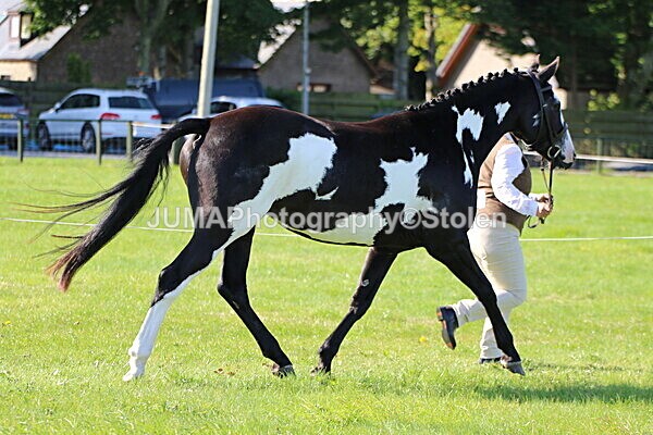 SIAL5703 - Ring 1 & 3