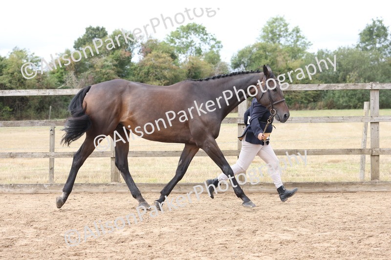 20260831-1907 - Class 5 - Retraining of Racehorses
