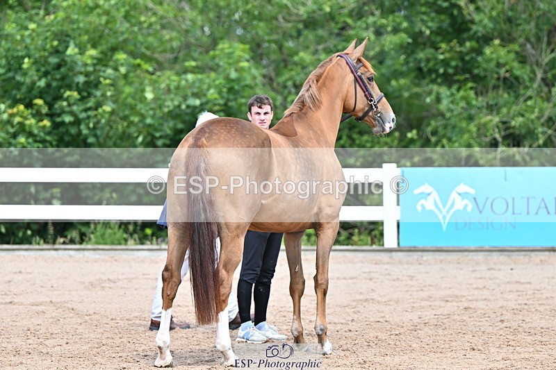 240718A-105247-01166 - Trot Up 12pm to 1pm