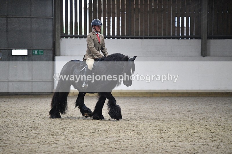 WJ5_8650 - Class 14 Novice Ridden/Rider