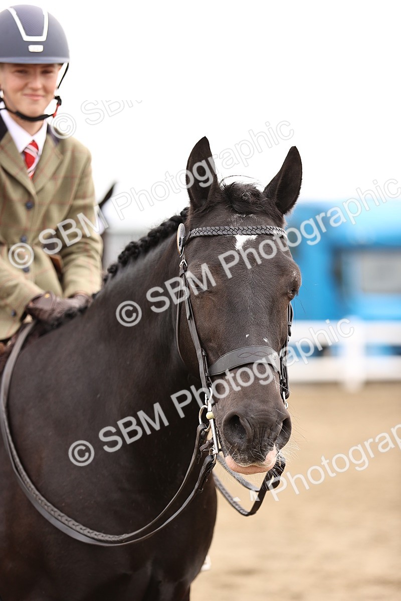 SBM_01409 - Class 54 - Riding Club Horse Pony