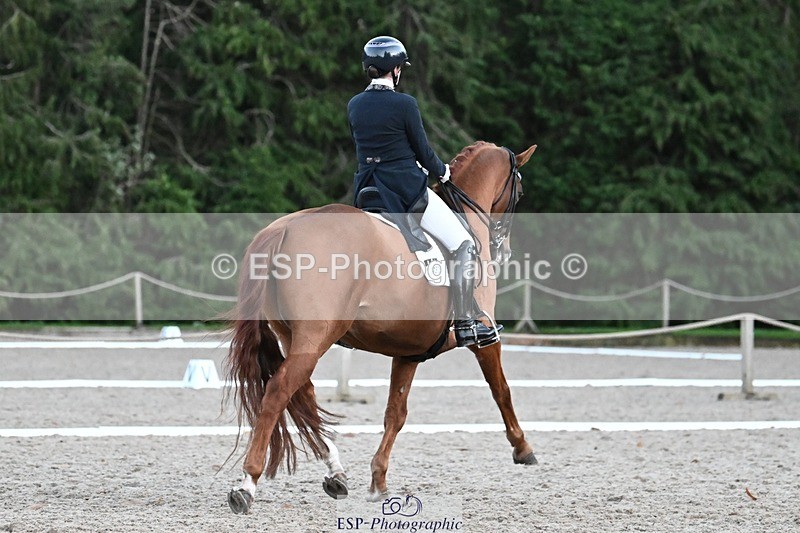 231110-163538-02684 - Cls 14 FEI Grand Prix